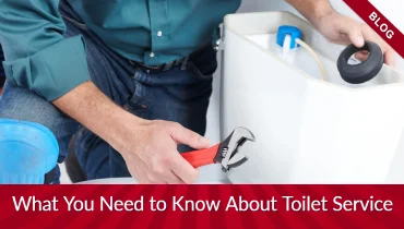 What You Need to Know About Toilet Service