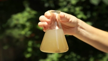 gloved hand holding small tube of liquid